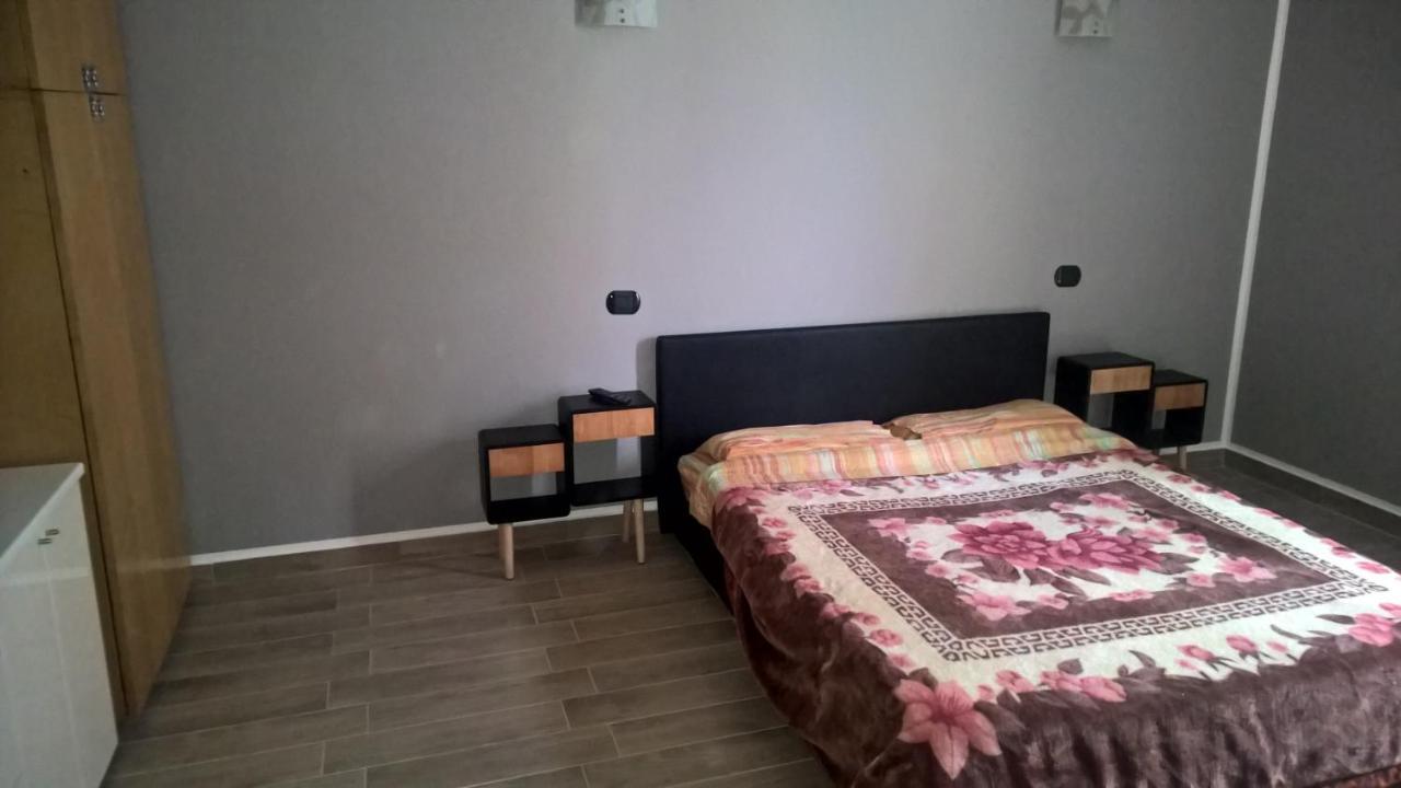 Aquarium Fish And Gastropods Guest house *